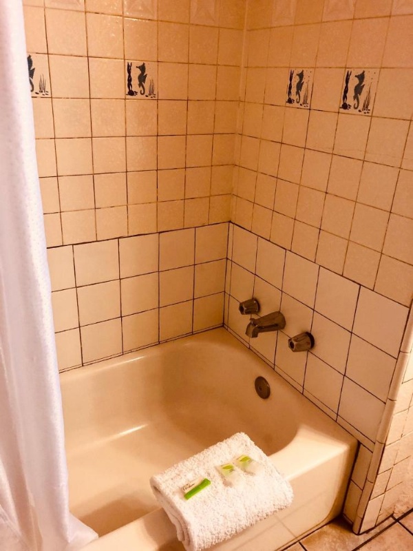 Carmel Resort Inn image 29